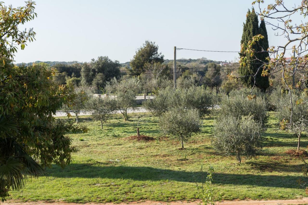 Studio Andrea Rovinj Bagian luar foto